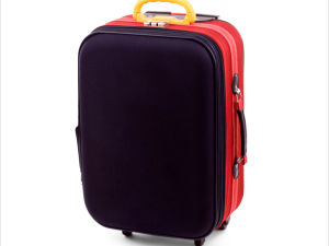 Suit Luggage